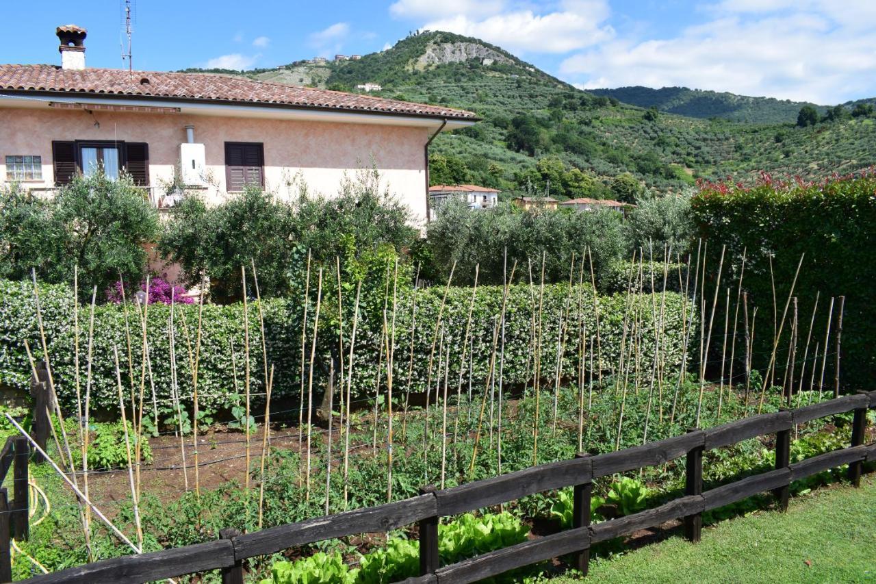 Locanda Pinocchio Pensión Rocca Massima